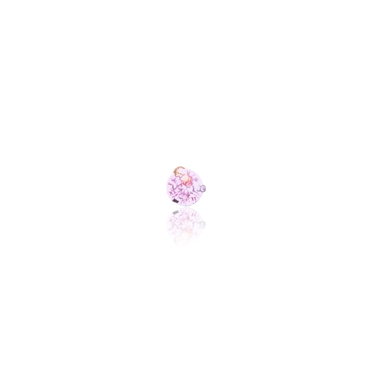 三抓經典鑽
