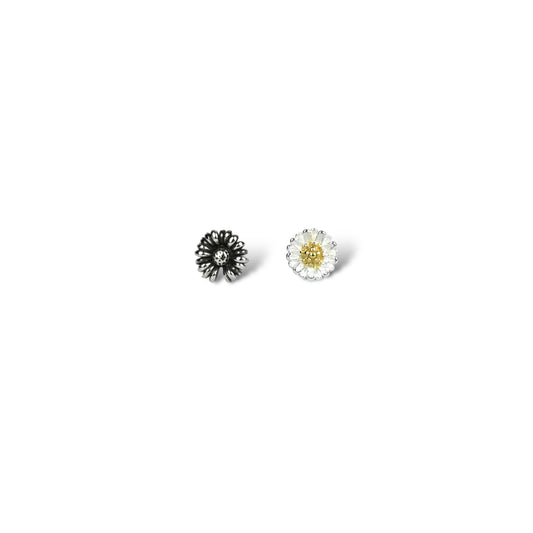 黑白雛菊